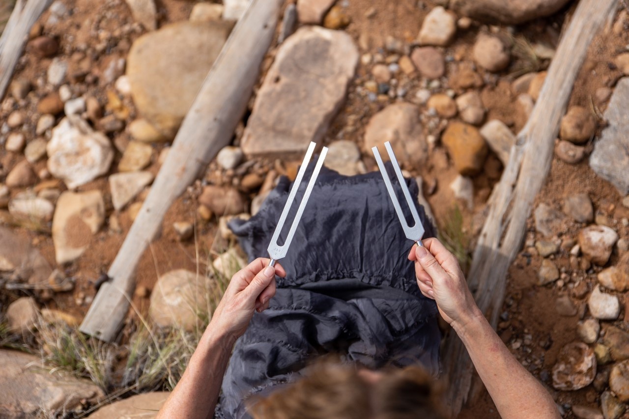 L1 Sound Healing with Tuning Forks Training 